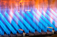 Flexbury gas fired boilers